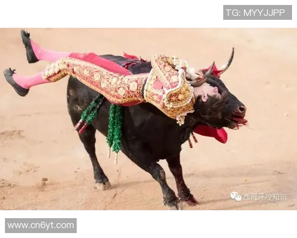 你不知道的公牛世界：十大鲜为人知的冷知识大揭秘